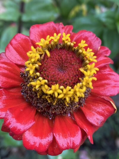 F38B6373-AEDB-4678-8EC0-A05CC36FA8EB