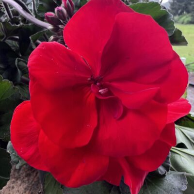 3F908E88-1B12-4C72-93A1-CD9C1CFEEA81