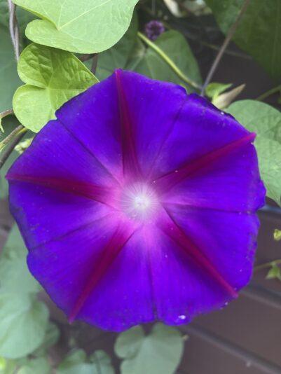 70261528-F2E0-4419-A982-807017EEA26E