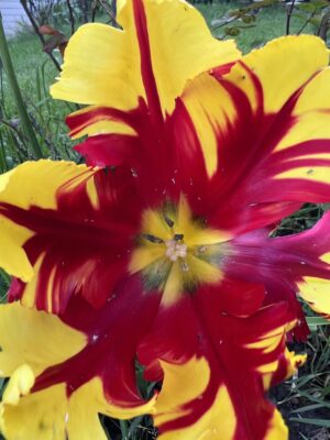 93DD49A7-90D7-4445-BB2A-450E10A282A7