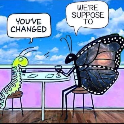 B2C351BD-A0CB-4C81-8FF5-12F5999BC806